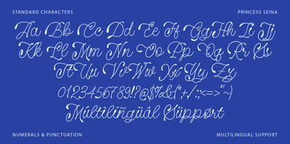 Princess Seina Font Poster 11