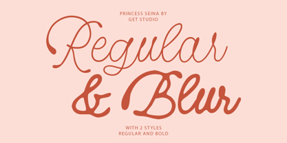 Princess Seina Font Poster 10