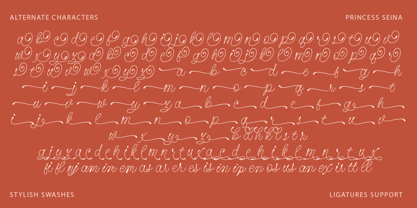 Princess Seina Font Poster 12
