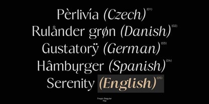 Fregio Font Poster 9