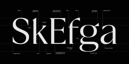 Fregio Font Poster 4