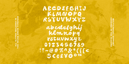 Youth Brain Font Poster 9