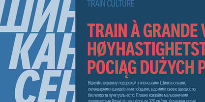 Aaux Pro Cyrillic Compressed Font Poster 6