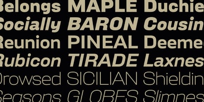 Broadside Font Poster 10