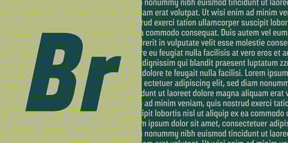 Broadside Font Poster 4