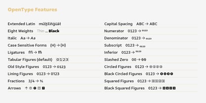 Confer Sans Font Poster 15