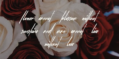 MC Smal Matter Font Poster 5