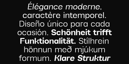 Alvara Sans Font Poster 12