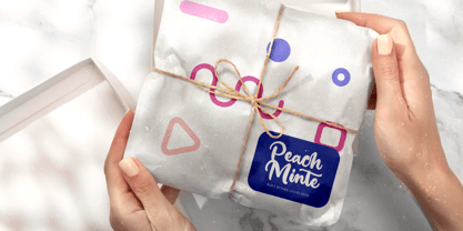 Vanila Chute Font Poster 8