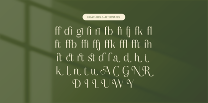 Mugia Font Poster 13