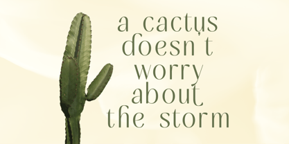 Mugia Font Poster 12