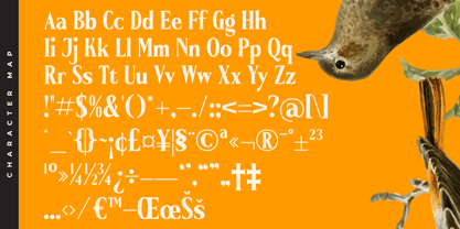 Belasfa Cantter Font Poster 15