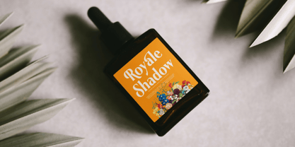 Belasfa Cantter Font Poster 13