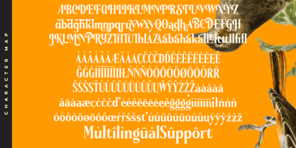 Belasfa Cantter Font Poster 14