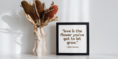 Prefleurie Font Poster 7