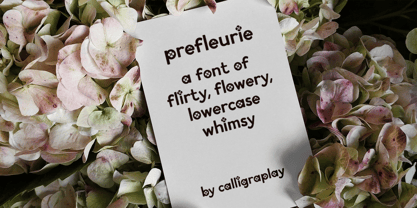 Prefleurie Font Poster 1