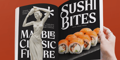 Storm Blokade Font Poster 8