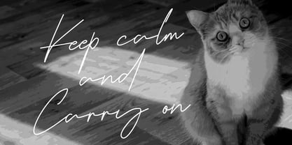MC Katios Catty Font Poster 6