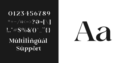 Vurion Font Poster 6