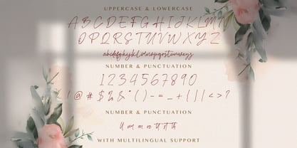 Attang Script Font Poster 7