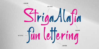MC Striga Alafia Font Poster 6