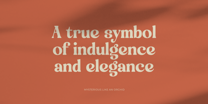 Engray Danton Font Poster 3