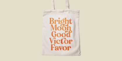 Engray Danton Font Poster 4