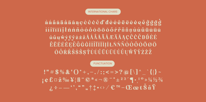 Engray Danton Font Poster 15