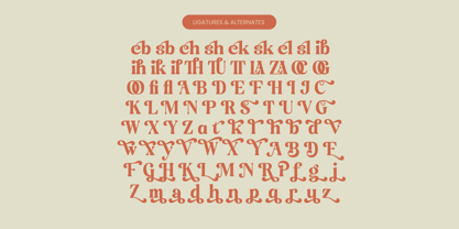Engray Danton Font Poster 14