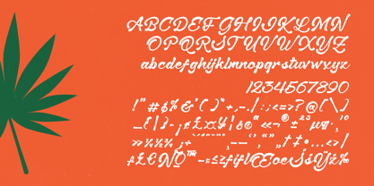 Delight Island Font Poster 7