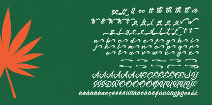 Delight Island Font Poster 8