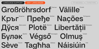 TT Neoris Font Poster 7