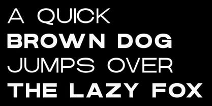 Danson Font Poster 3