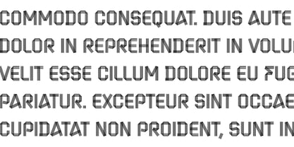 Zipline Font Poster 8