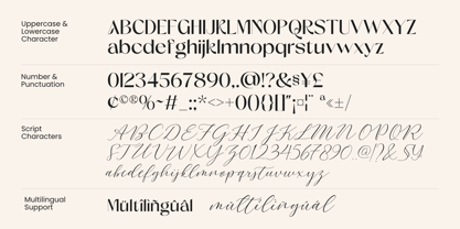 Brown Soulmate Font Poster 14