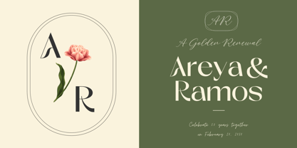 Brown Soulmate Font Poster 6