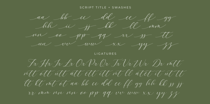 Brown Soulmate Font Poster 15