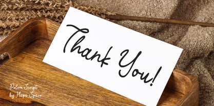 Polem Script Font Poster 8