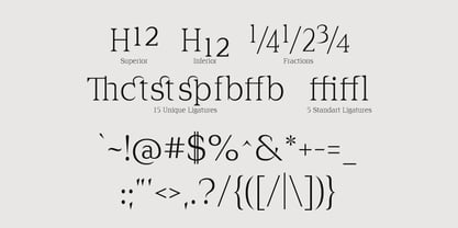 Cirvia Font Poster 10