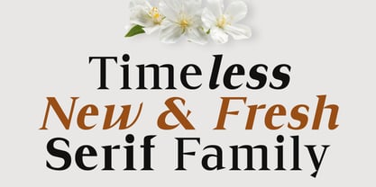 Cirvia Font Poster 2