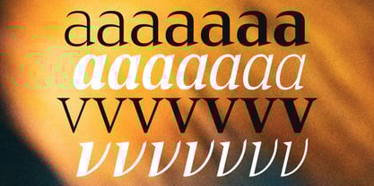 Cirvia Font Poster 7