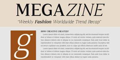 Cirvia Font Poster 12