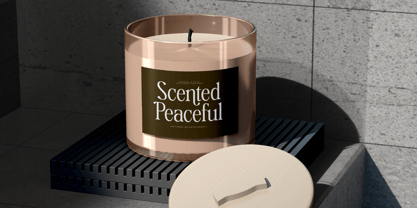 Magice Berries Font Poster 4