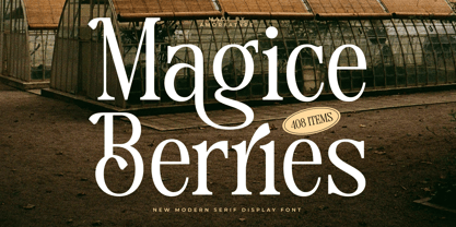 Magice Berries Font Poster 1