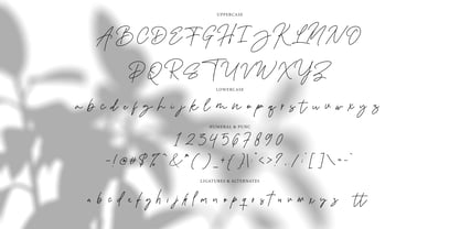 Meliday signature Font Poster 10