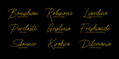 Sendian Signature Font Poster 5