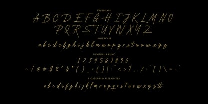 Sendian Signature Font Poster 7