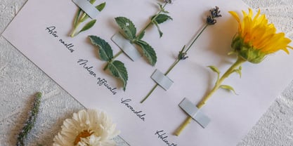 Day Dreaming Font Poster 6