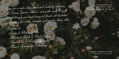 Day Dreaming Font Poster 4