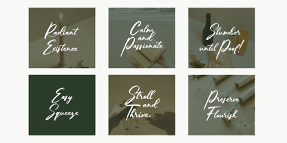 Sharepie Font Poster 2